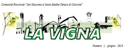 “La Vigna” – numero 1 online